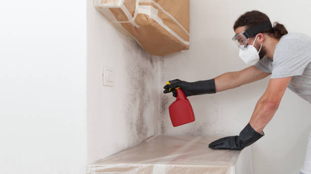 Professional Mold Removal technician working in Irving, TX