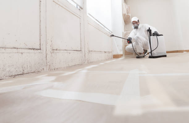 24/7 Emergency Mold Removal experts in Irving, TX